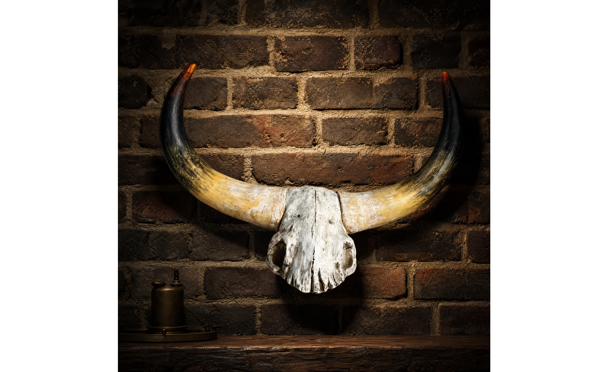 Resin Bull Skull Wall Ornament Distressed Faux Bull Skull Wall Decor with Horns