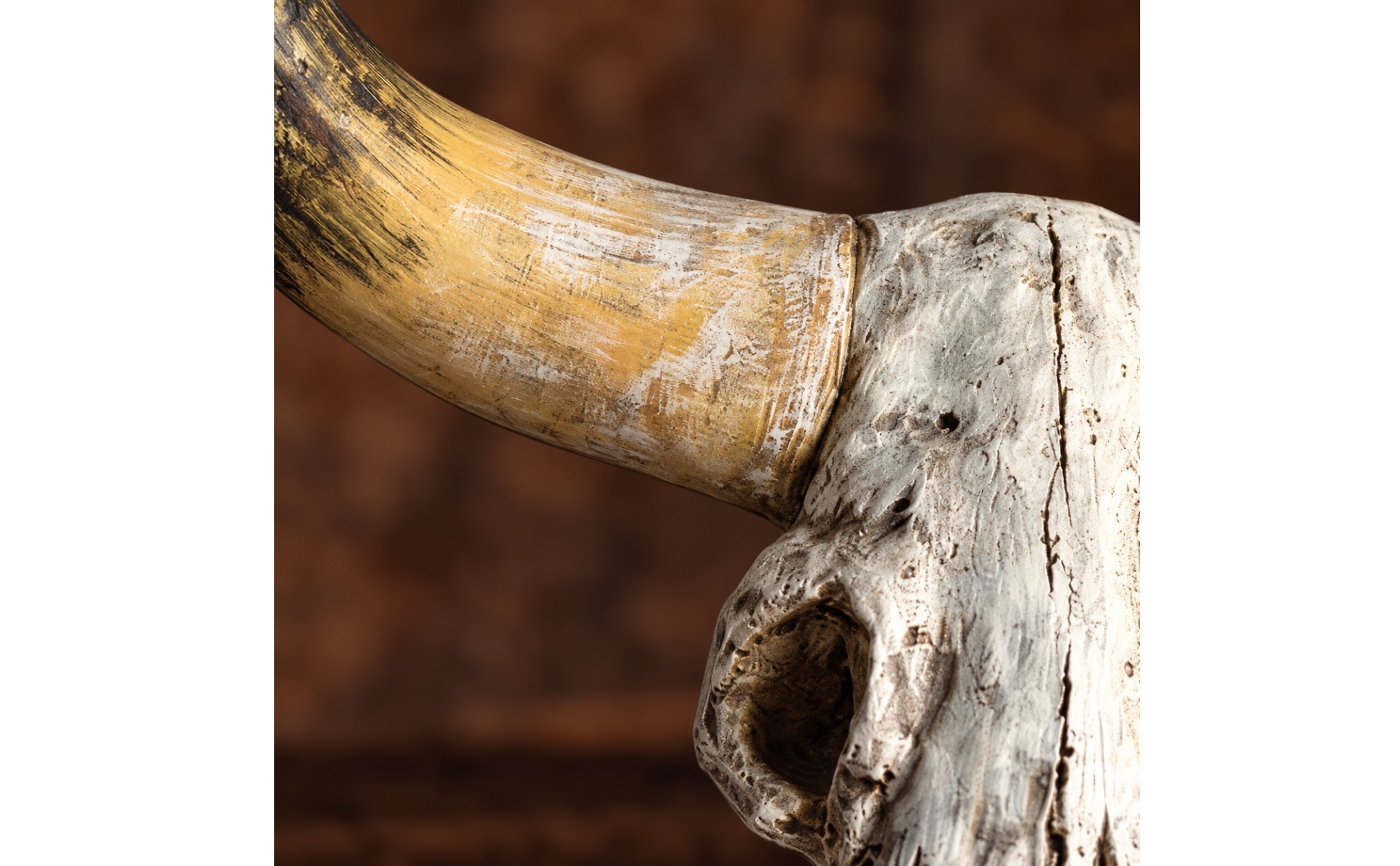 Resin Bull Skull Wall Ornament Distressed Faux Bull Skull Wall Decor with Horns