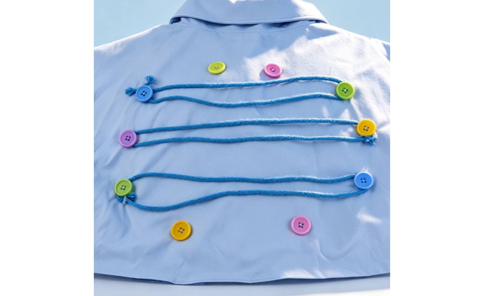 Bird Training Garment Interactive