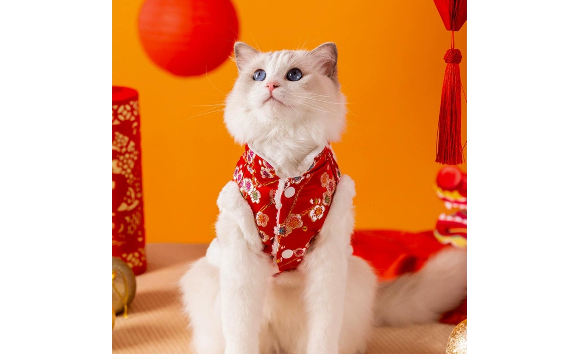 Gepolsterte Haustierweste mit chinesischem Design gepolstert für Fotoshootings